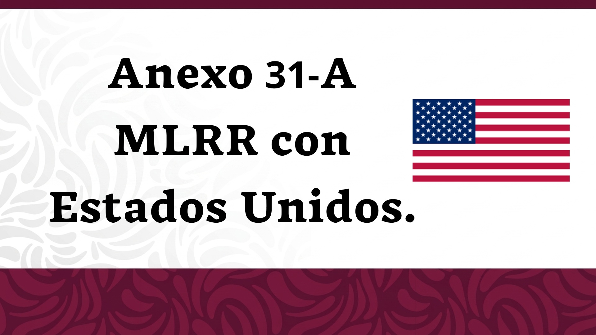 Anexo 31-A MLRR con Estados Unidos.